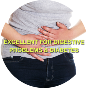 digestive-problem